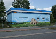 Trafostation in der Möwenburgstraße, schlafender Hund auf der Wiese, Copyright: SWS