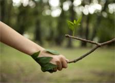 Handschlag mit Baum , Copyright: fotolia.com/nikilitov 